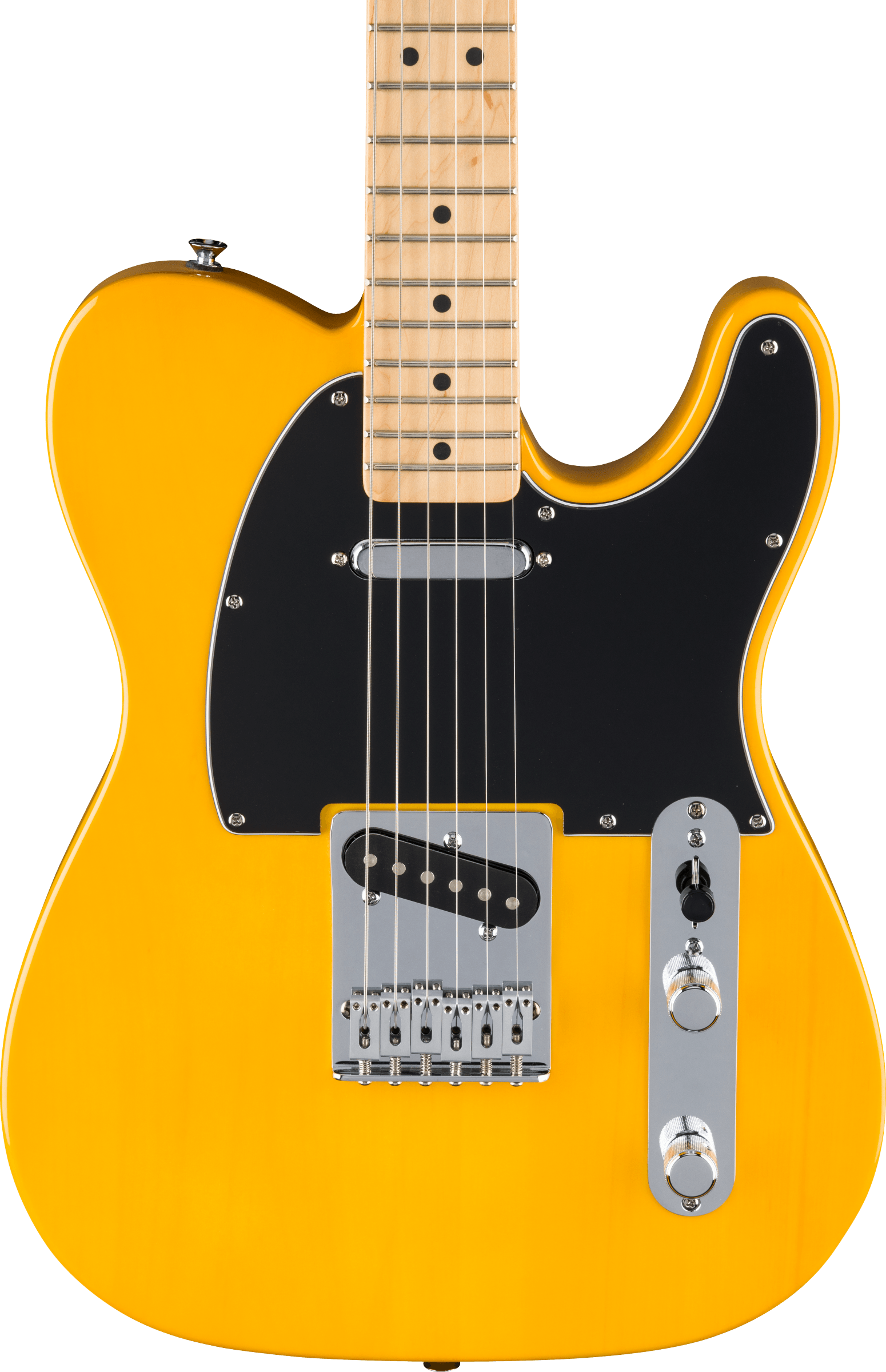 Fender Standard Telecaster - Butterscotch Blonde