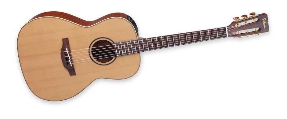 Takamine P3NY