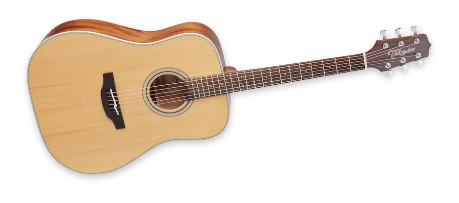 Takamine GD20-NS