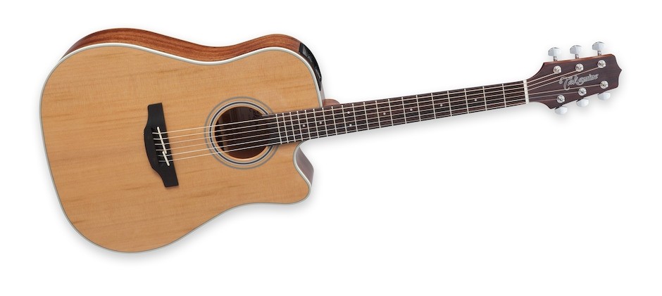 Takamine GD20CE-NS