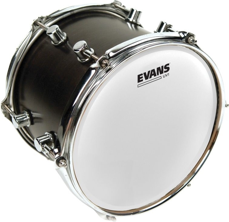 Evans B10UV1 UV1 Coated 10"