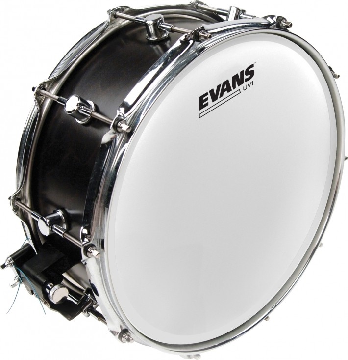 Evans B14UV1 UV1 Coated 14"