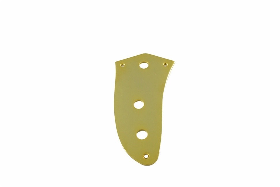 ALLPARTS AP-0659-002 Gold Control Plate for Jaguar 