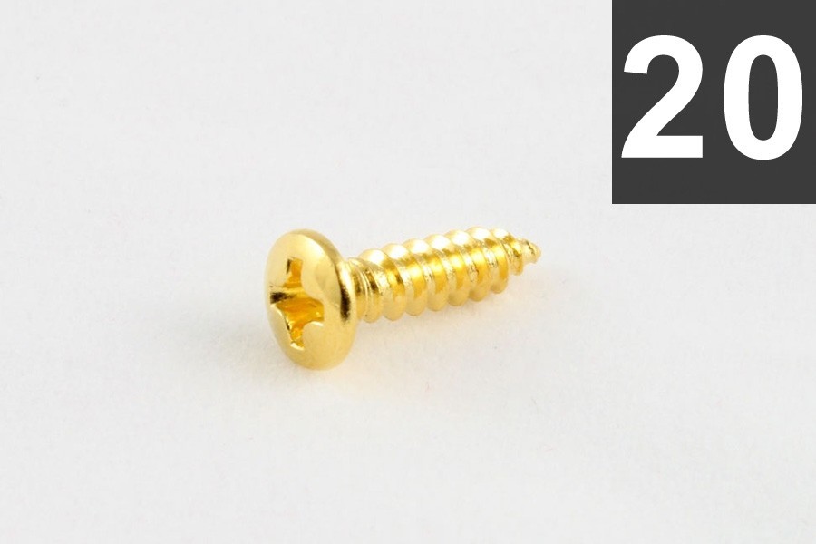 ALLPARTS GS-0001-002 Pack of 20 Gold Pickguard Screws 