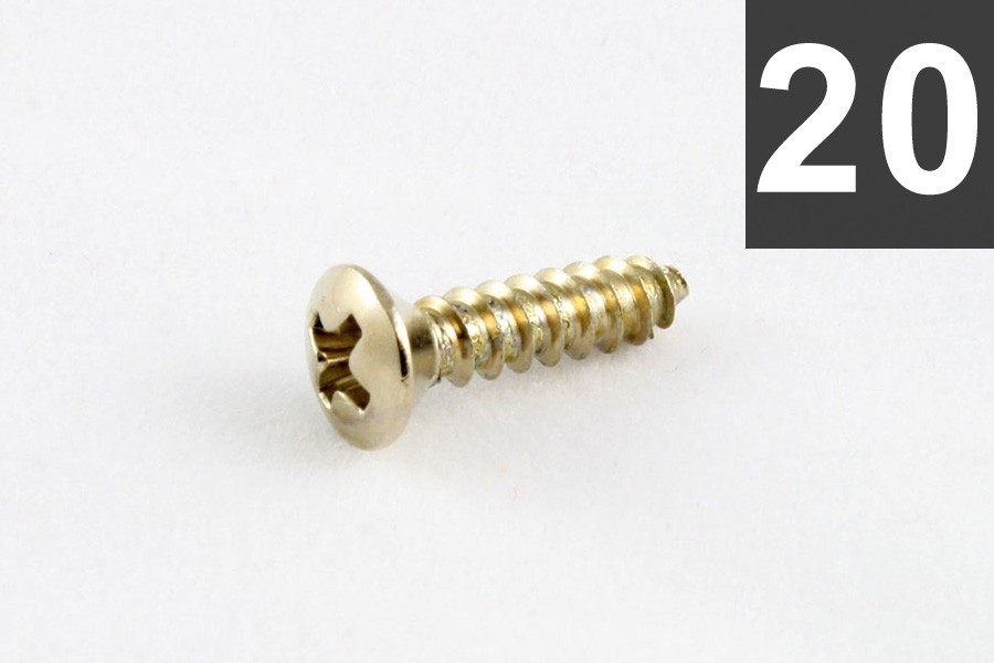 ALLPARTS GS-0001-005 Pack of 20 Stainless Pickguard Screws 