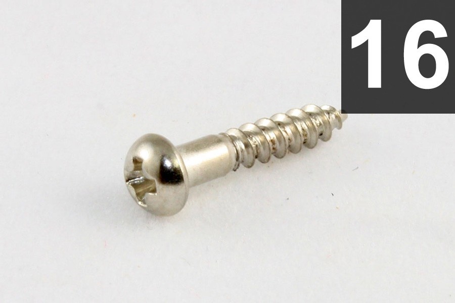 ALLPARTS GS-0006-001 Pack of 16 Nickel Long Machine Head Screws 