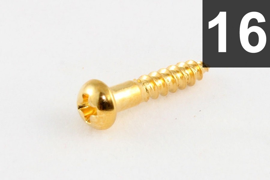 ALLPARTS GS-0006-002 Pack of 16 Long Gold Machine Head Screws 
