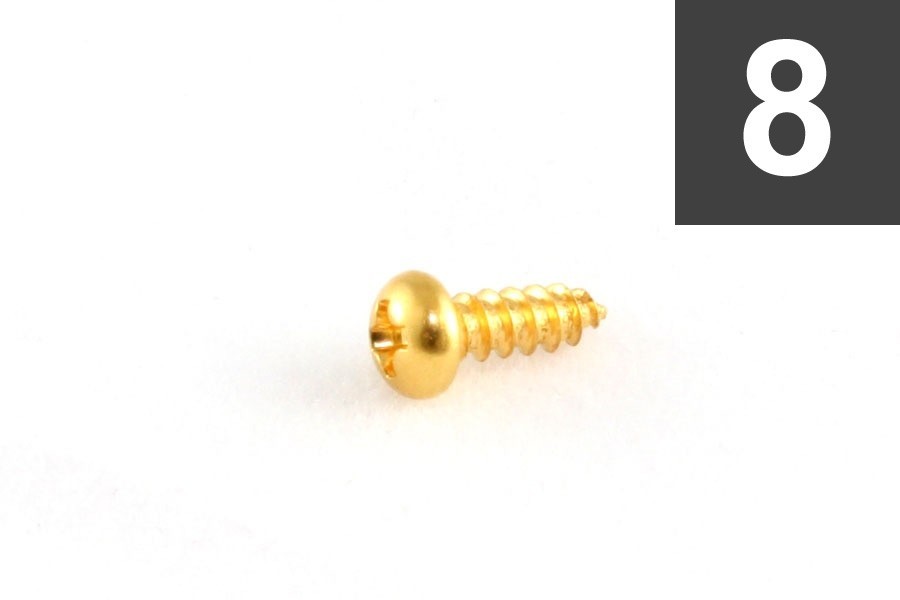 ALLPARTS GS-3206-002 Pack of 8 Gold Truss Rod Cover Screws 