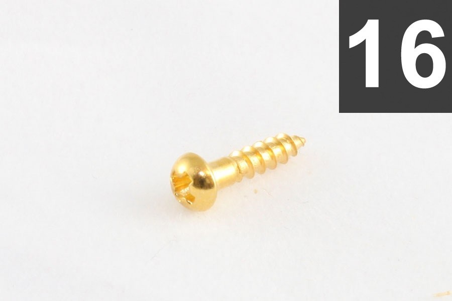 ALLPARTS GS-3376-002 Pack of 16 Gold Small Tuner Screws 