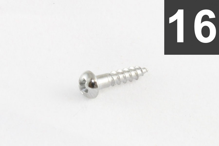 ALLPARTS GS-3376-010 Pack of 16 Chrome Small Tuner Screws 