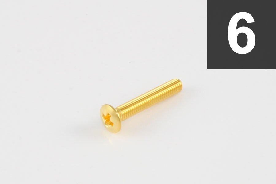 ALLPARTS GS-3379-002 Pack of 6 Gold Long Tuner Button Screws 