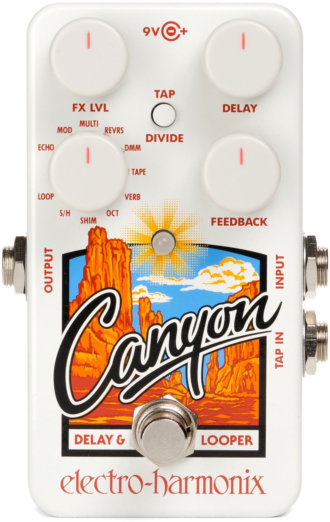 Electro Harmonix Canyon Delay and Looper