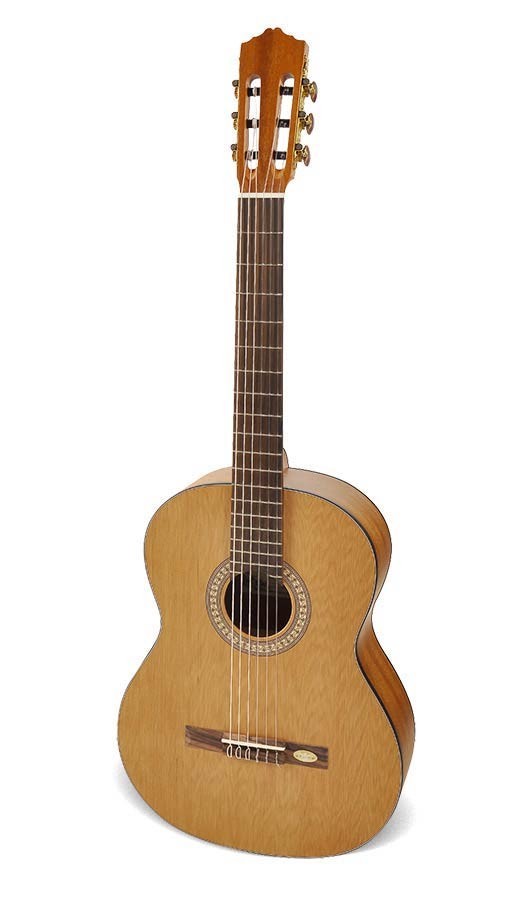 Salvador Cortez CC-20 Solid Top Artist Series classic guitar, solid cedar top, sapele back and sides, ABS bindings, satin finish