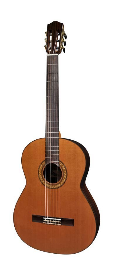 Salvador Cortez CC-60-BA Solid Top Concert Series 6-string bass guitar, solid cedar top, with deluxe case