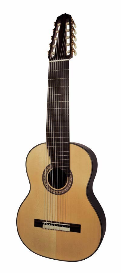 Salvador Cortez CS-60-10 Solid Top Concert Series 10-string classic guitar, solid spruce top, rosewood backand sides, bone, deluxe case