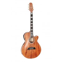 Takamine TSP178ACK N