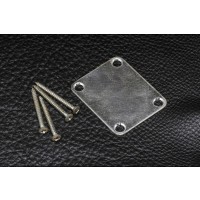 ALLPARTS AP-0601-007 Aged Chrome Serial Numbered Neckplate 