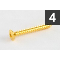 ALLPARTS GS-3005-002 Pack of 4 Gold Short Neck Plate Screws 