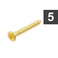 ALLPARTS GS-3364-002 Pack of 5 Gold 1-Inch Bridge Mounting Screws 