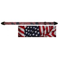 Perri's FWS20-147 - 2" Nylon Strap - American flag