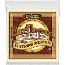 Ernie Ball 2012 Earthwood 80/20 12-Stringed Medium Strengesett 11-42