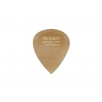 Pickboy GPHN-1 - Exotic Horn Pick