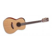 Takamine P3NY