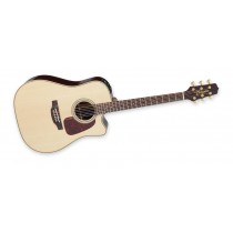 Takamine P5DC