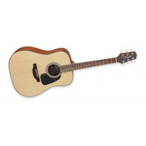 Takamine GD10-NS