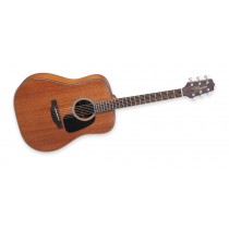 Takamine GD11M-NS