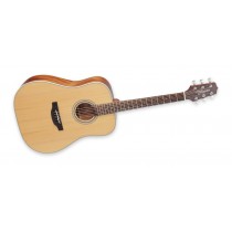 Takamine GD20-NS