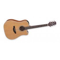 Takamine GD20CE-NS