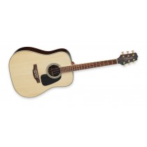 Takamine GD51-NAT