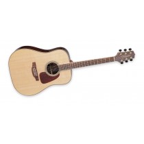 Takamine GD93-NAT