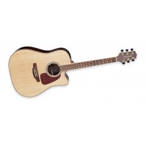 Takamine GD93CE-NAT