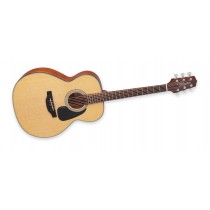 Takamine GN10-NS