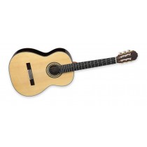 Takamine H8SS