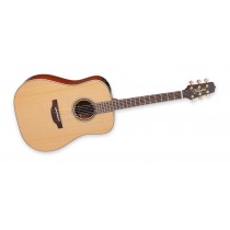 Takamine P3D