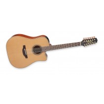 Takamine P3DC-12