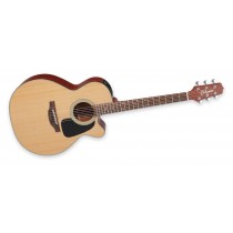 Takamine P1NC