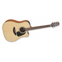 Takamine GD10CE NS