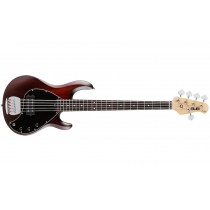 Sterling by Music Man StingRay Ray5 Bass Guitar in Walnut Satin, 5-String