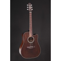 Takamine P1DCSM