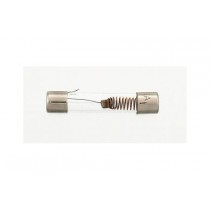 ALLPARTS EP-0810-000 1 Amp Slo-Blo Fuses 