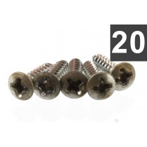 ALLPARTS GS-0001-007 Standard Pickguard Screw - Aged Nickel - 20-pack