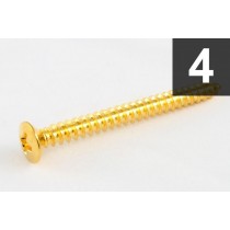 ALLPARTS GS-0005-002 Pack of 4 Gold Neckplate Screws 