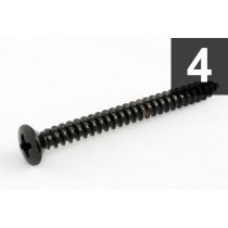 ALLPARTS GS-0005-003 Pack of 4 Black Neckplate Screws 