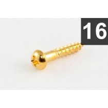 ALLPARTS GS-0006-002 Pack of 16 Long Gold Machine Head Screws 