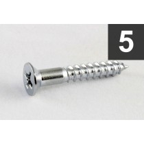 ALLPARTS GS-0063-010 Pack of 5 Chrome Bridge Mounting Screws 