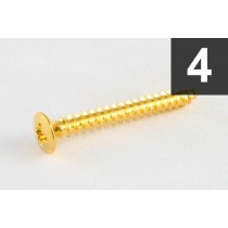 ALLPARTS GS-3005-002 Pack of 4 Gold Short Neck Plate Screws 